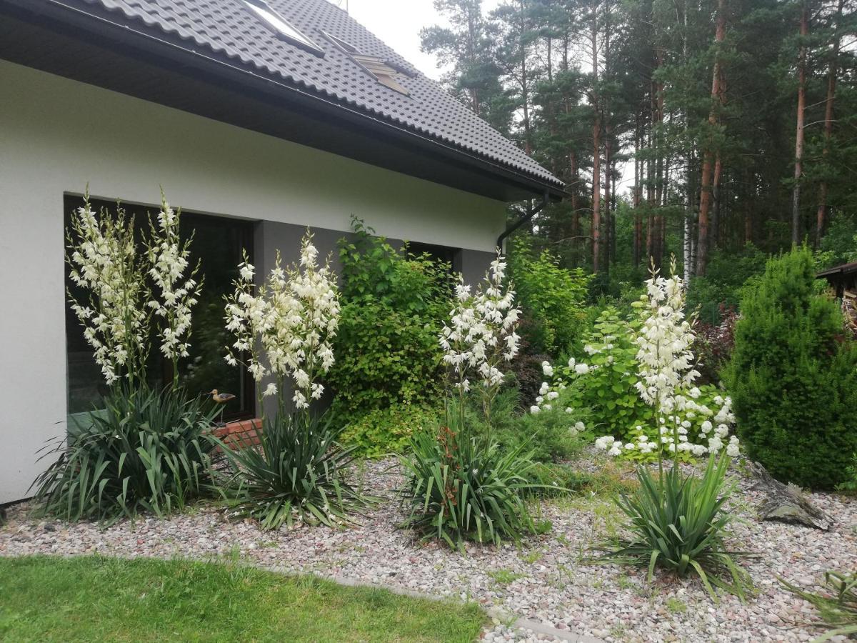 Cudodomek Spa W Mrozach Wielkich Kolo Elku Exterior photo
